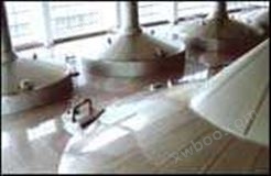糖化过滤槽系统/啤酒发酵设备