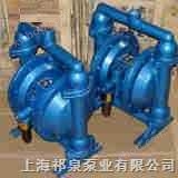 上海铸铁隔膜泵供应