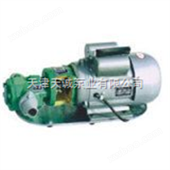 天津微型齿轮泵WCB-S