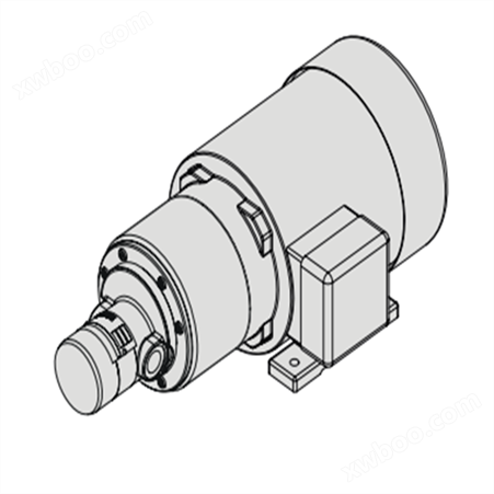 施尔金格齿轮泵2030-009-XM-18-2/-4