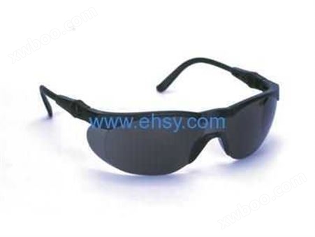 Rax-7290 防护眼镜-EHSY西域品质提供