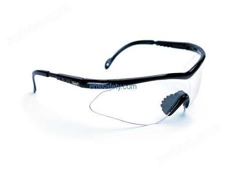 Rax-7253 防护眼镜-EHSY西域品质提供