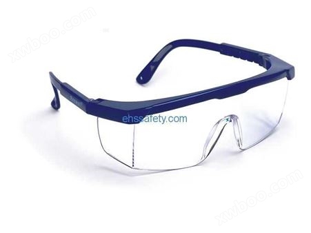 Rax-7228 防护眼镜-EHSY西域品质提供