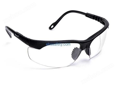 Rax-7258 防护眼镜-EHSY西域品质提供