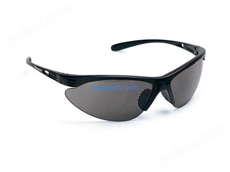 Rax-7251 防护眼镜-EHSY西域品质提供