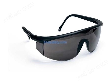 Rax-7238 防护眼镜-EHSY西域品质提供
