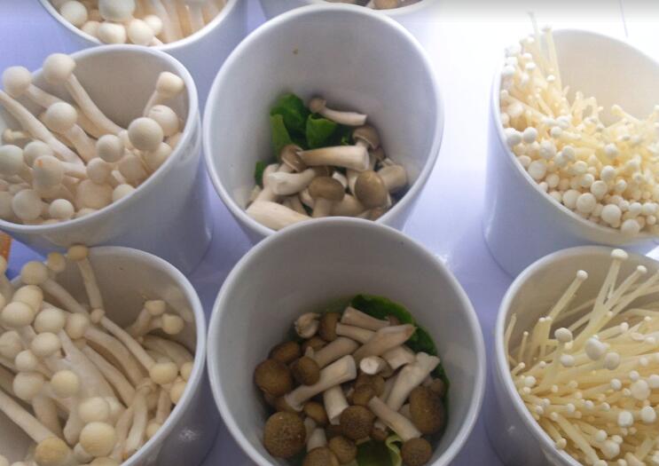 菌菇 “链” 出大产业，云南深加工奏响增收乐章