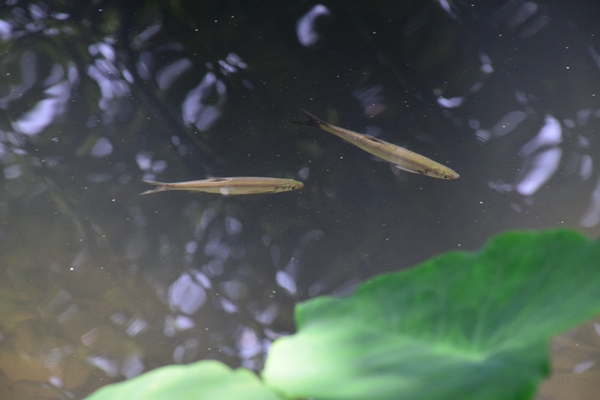 宁夏实现县级快递行业党委全覆盖